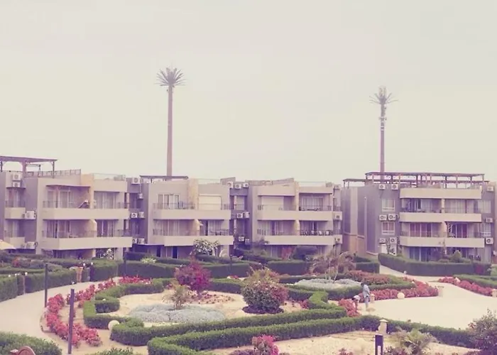 Jihan Elbakry